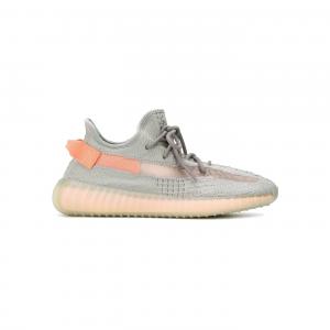 Yeezy Boost 350 V2 True Form